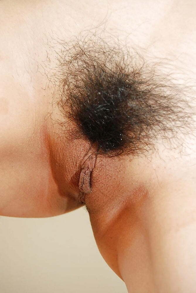 Hairy asian pussies 7